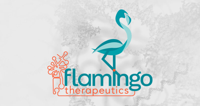 Flamingo Therapeutics Presents Poster At ASCO 2024 On Phase II PEMDA-HN ...